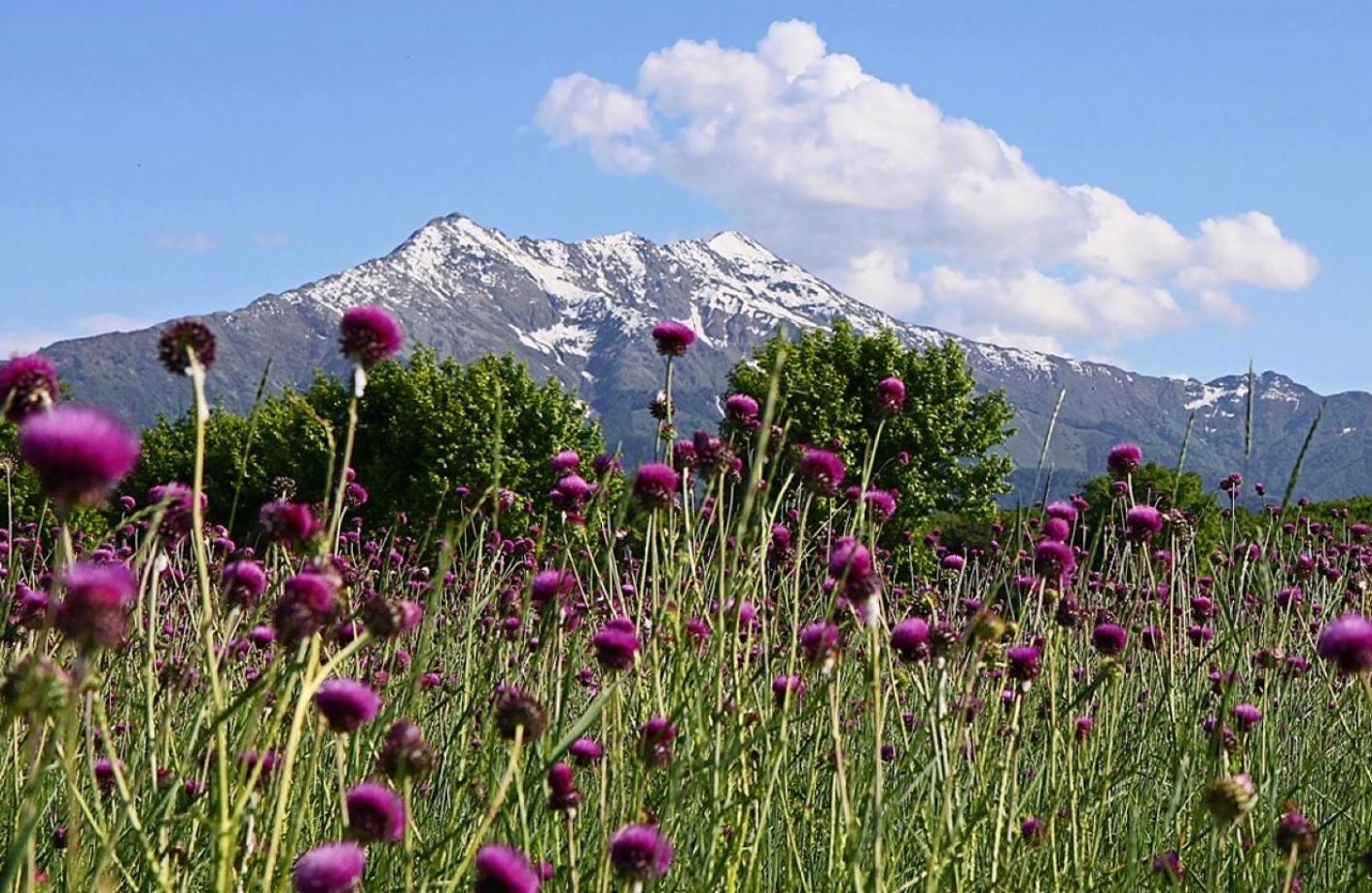 La Casa Di Zia Maria Daire Boves Dış mekan fotoğraf